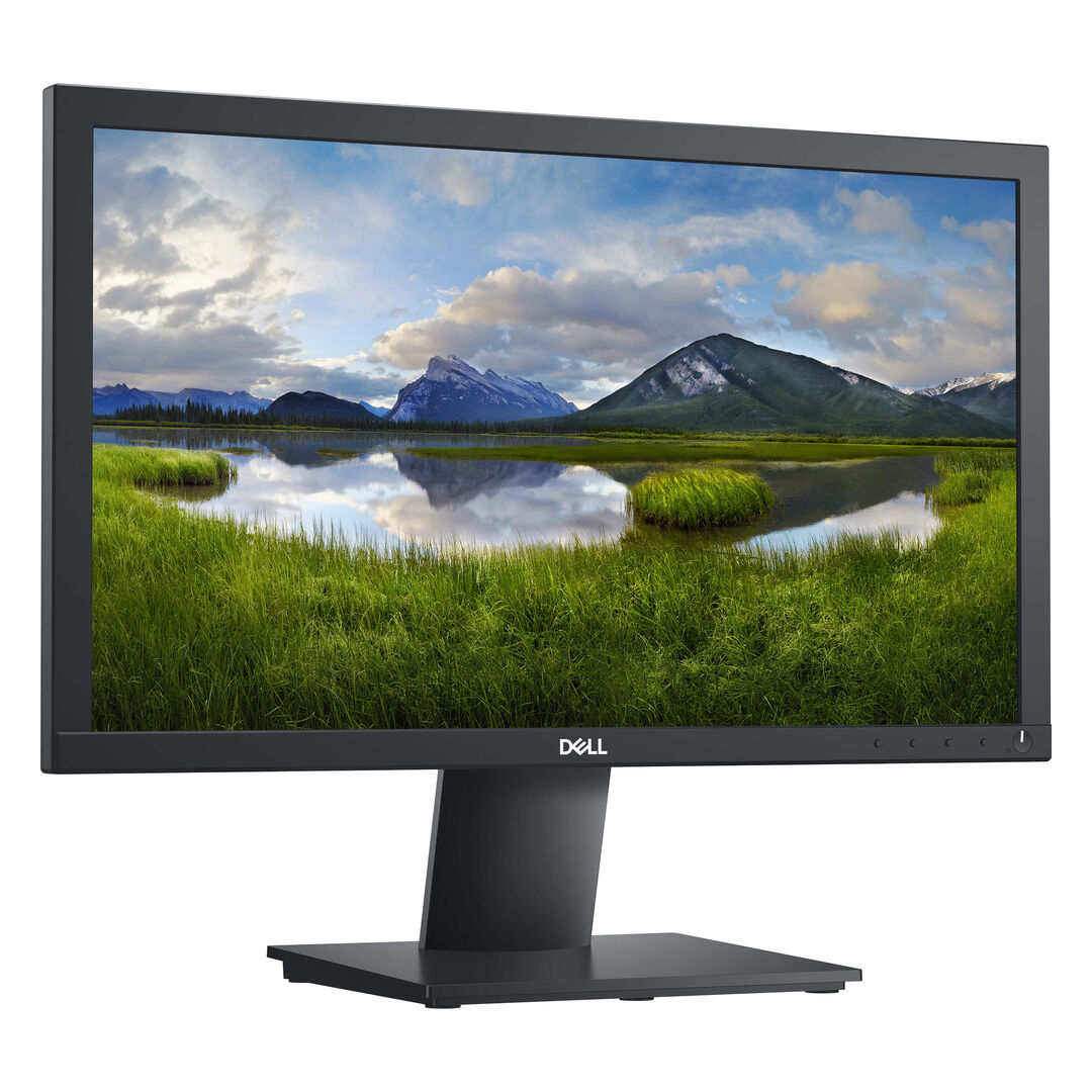 Dell Pro 20 19,5'' HD+ 1600x900 TN 60Hz DP VGA - Imagen 2