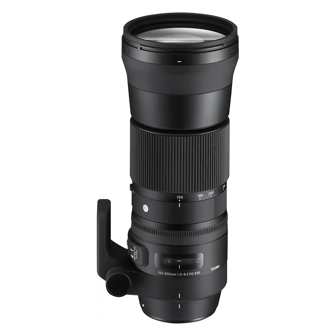 Sigma Nikon 150-600mm f/5-6.3 DG OS HSM Contemporary