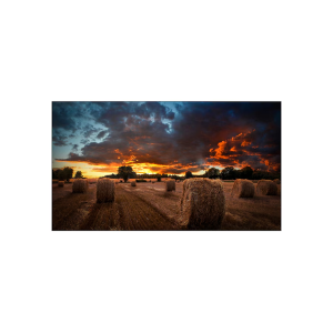 Samsung VM55B-U Video Wall 55" Full HD Marco 3,5 mm 500 nits LH55VMBUBGBCZB