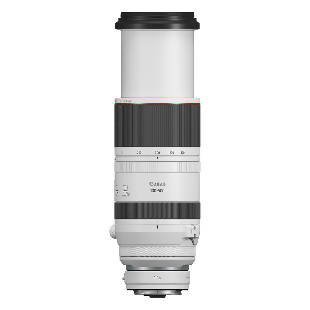 Canon RF 100-500mm f/4.5-7.1 L IS USM - Imagen 2