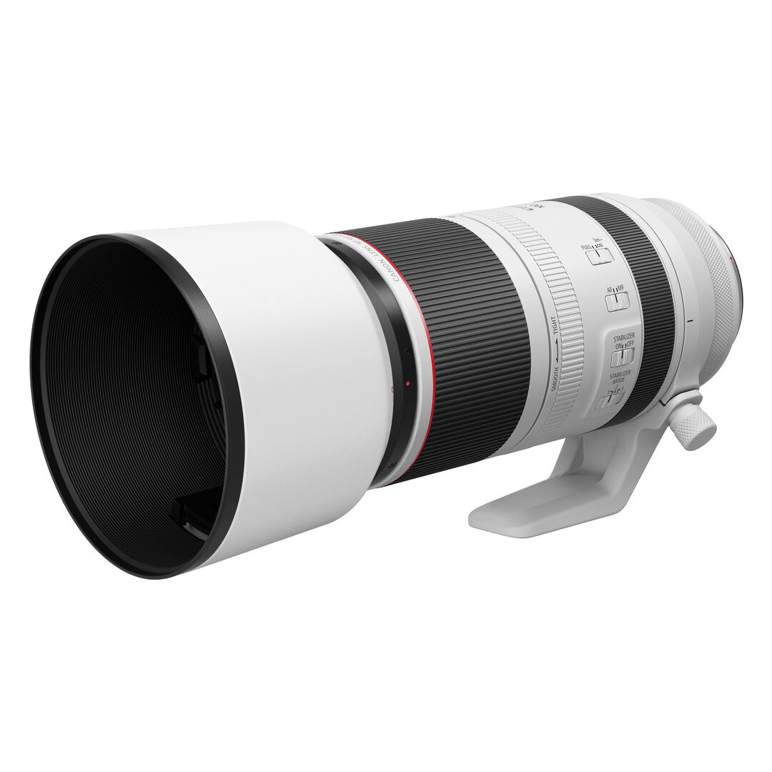 Canon RF 100-500mm f/4.5-7.1 L IS USM - Imagen 5