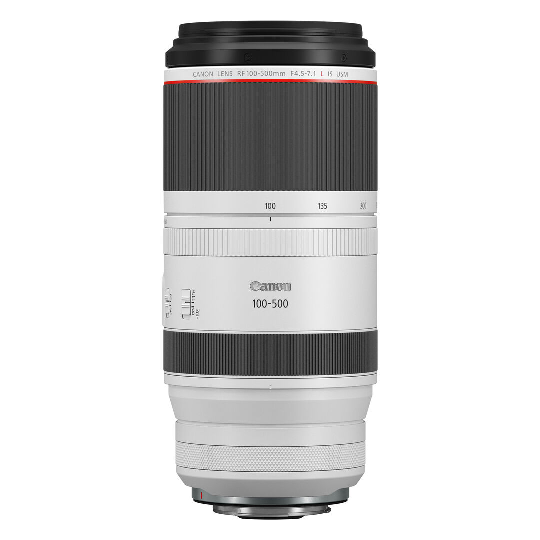 Canon RF 100-500mm f/4.5-7.1 L IS USM - Imagen 4