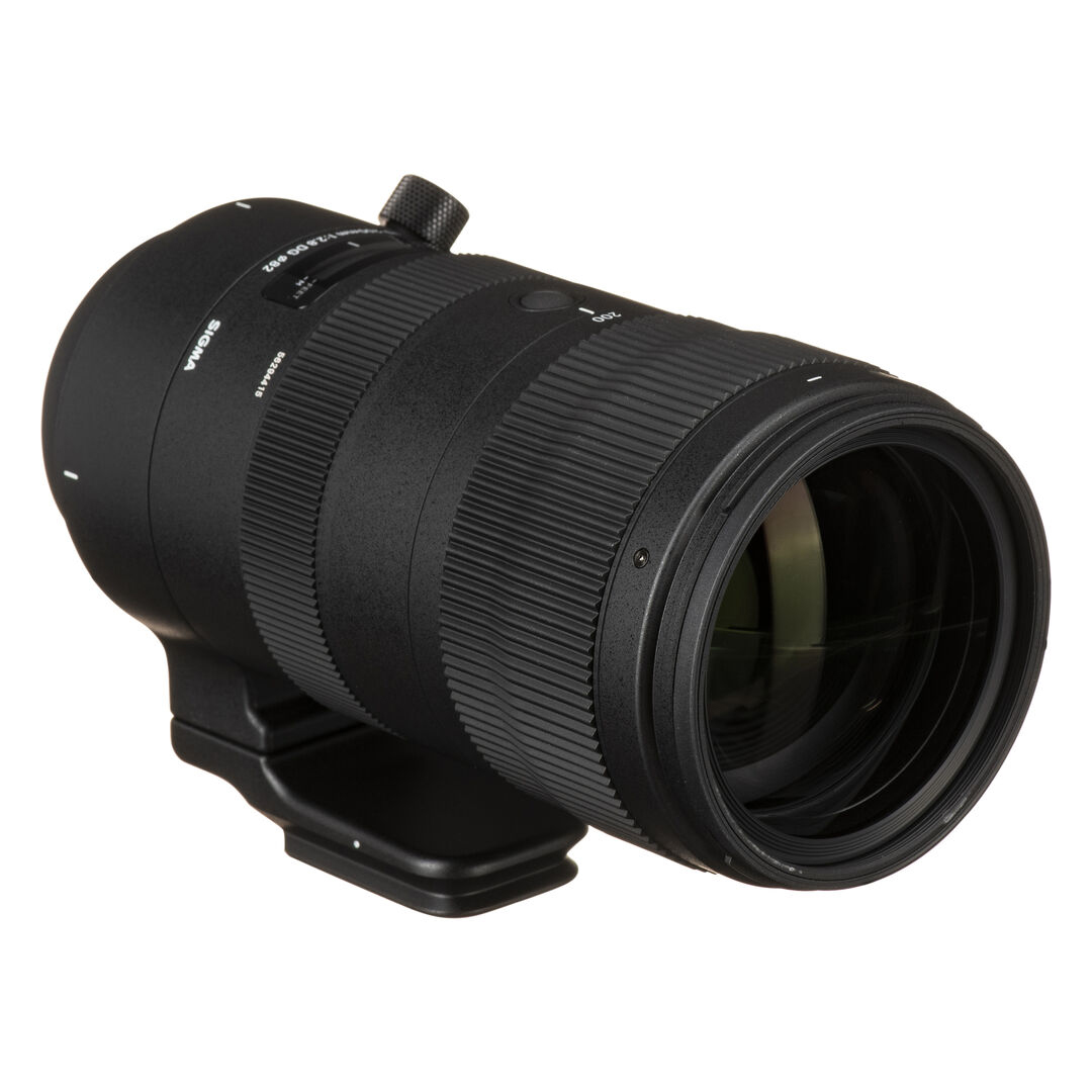 Sigma Nikon 70-200mm f/2.8 DG OS HSM Sports - Imagen 5